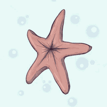 Chocolate Starfish Butthole GIF - Chocolate Starfish Butthole Booty GIFs