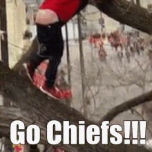 Super Bowl Fall Out Of Tree GIF - Super Bowl Fall Out Of Tree Parade GIFs