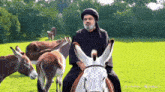 a man in a turban is riding a donkey in a grassy field