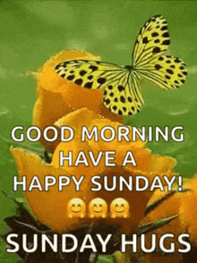 Good Morning Images 2024 GIF