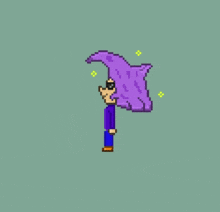 a pixel art drawing of a person with purple hair and sunglasses