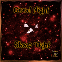 a picture of a cat with the words good night sleep tight below it