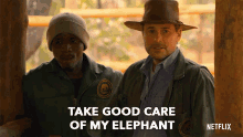 take good care my elephant take care holiday in the wild netflix