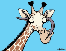 Giraffe Animal Facts GIF - Giraffe Animal Facts Lick Inside Ears GIFs
