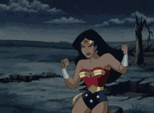 Wonder Woman Block GIF - Wonder Woman Block Shield GIFs