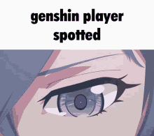 Genshin Player Spotted GIF - Genshin Player Spotted GIFs