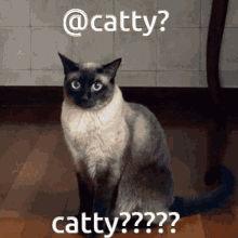 Catty Fnac GIF - Catty Fnac Susworld GIFs