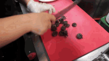 a person is cutting a bunch of fruit on a red cutting board made by animatica