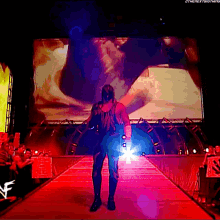 Kane Intercontinental Champion GIF - Kane Intercontinental Champion Entrance GIFs