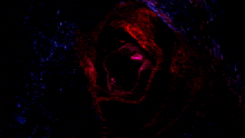 a dark background with a red and purple swirl