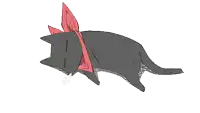 a black cat with a red scarf around its neck