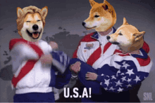 Doge Olympics GIF - Doge Olympics GIFs