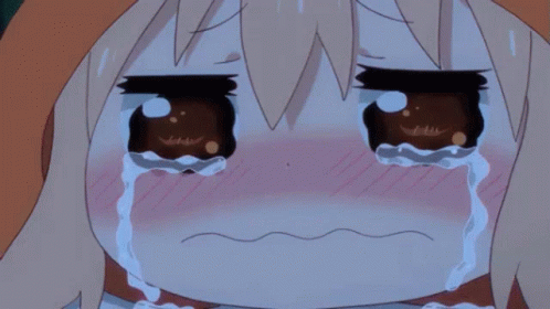 Tears, cpt, chan, Kigurumi, Red panda, anime, kon, sadness, Crying, Hime  cut | Anyrgb