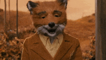 two foxes are looking at each other in a field