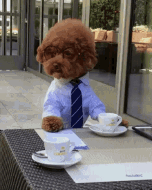 Business Silly GIF - Business Silly Funny GIFs