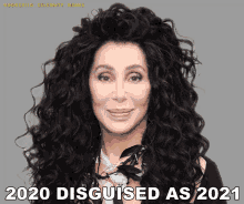 2020disguised As2021 Cher As2021 GIF - 2020disguised As2021 Cher As2021 GIFs
