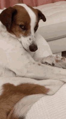 Cares Petting GIF - Cares Petting Caricias GIFs