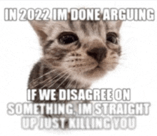 a meme of a cat that says in 2022 im done arguing if we disagree on something im straight up just killing you .