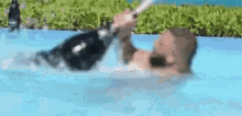 Dj Khaled Pool GIF