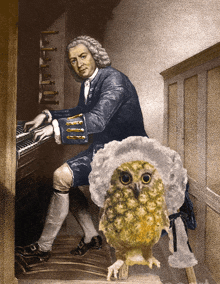 Bach Classical GIF - Bach Classical Music GIFs