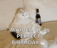 Chillin Beer GIF - Chillin Beer Hardday GIFs