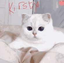 Kirsty King GIF - Kirsty King Cat GIFs