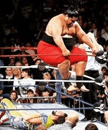 a sumo wrestler is jumping over a wrestler in a wrestling ring .