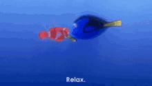 Relax GIF - Chill Out Calm Down Relax GIFs