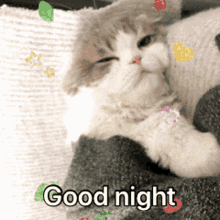 Goodnight Kitten GIFs | Tenor