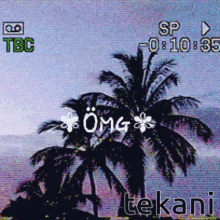 Tekani Omg GIF - Tekani Omg Palm Tree GIFs