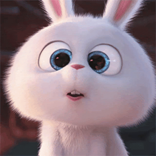 Snowball Look The Secret Life Of Pets GIF - Snowball Look Snowball The Secret Life Of Pets GIFs