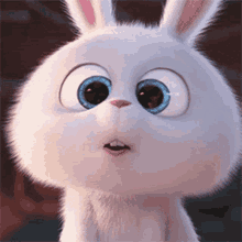 Snowball Look The Secret Life Of Pets GIF