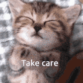 Take Care M Cat Take Care GIF