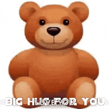 Hug Bear GIF