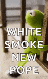 kermit the frog is sitting on a railing with the words `` white smoke new pope '' written above him .