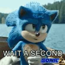 Wait A Second Sonic GIF - Wait A Second Sonic Sonic The Hedgehog2 GIFs