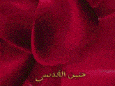 a blurred image of a man with arabic writing on it