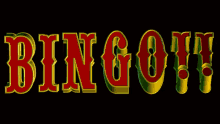 Bingo GIF - Bingo GIFs
