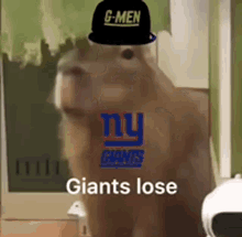 Giants Lose Capybara GIF
