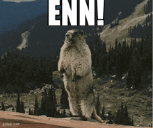 a ground squirrel standing on its hind legs with the words enn written above it