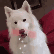 Dog Rainbow GIF - Dog Rainbow Snap GIFs