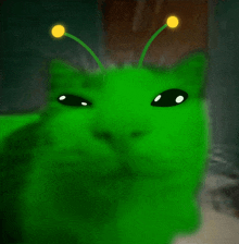 a green cat with antennas on its head