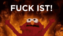 elmo is in the middle of a fire with the words fuck ist