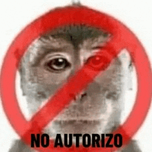 No Autorizooxd GIF - No Autorizooxd GIFs