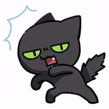 black cat green eyes fighting arguing