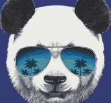Bruh Panda GIF - Bruh Panda GIFs