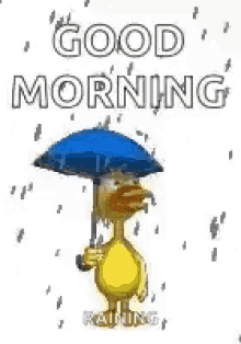 duck rainy day raining good morning