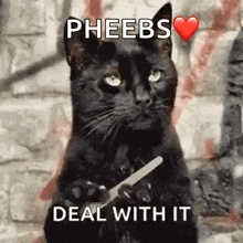 a black cat is holding a nail file in its paws and says pheebs deal with it