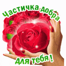 пожелание руки держат розу GIF - пожелание руки держат розу цветы -- GIFs
