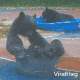 Chilling American Black Bear GIF - Chilling American Black Bear Viralhog GIFs